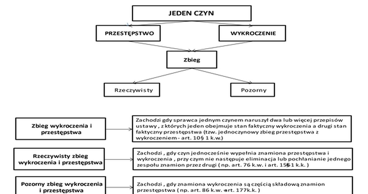 Fragment z pisma Stowarzyszenia Pomocy  Poszkodowanym w Wypadkach i Kolizjach Drogowych Alter Ego do RPO /Informacja prasowa