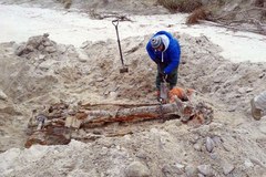 Fragmenty auta terenowego z czasów II wojny światowej znaleziono na plaży w Pobierowie