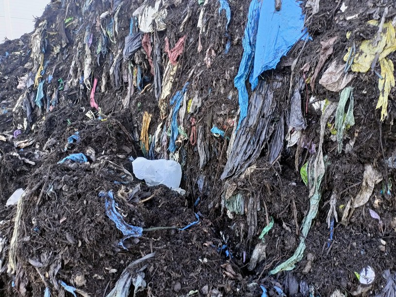 Frakcja bioodpadów z kompostowni w Gdańsku zanieczyszczona folią z worków, w których mieszkańcy wyrzucają śmieci bio /Stowarzyszenie Sąsiadów ZU Gdańsk Szadółki /Facebook