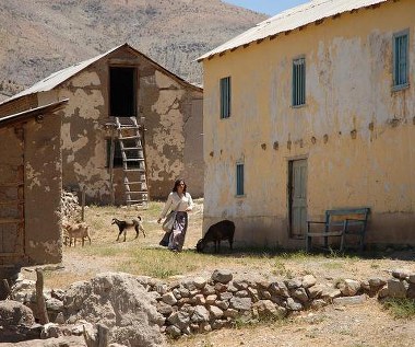 Francisca Gavilán w filmie "Violeta poszła do nieba"