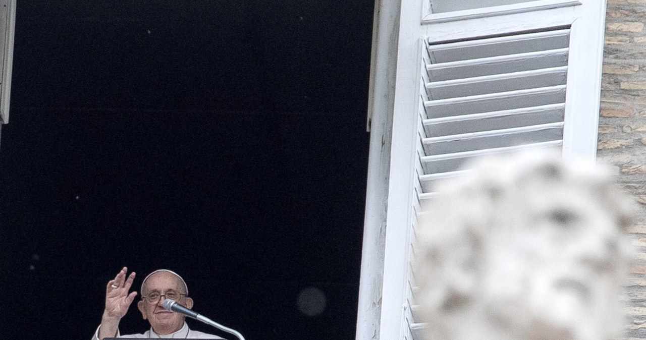 Franciszek nazwał wojnę szaleństwem. „Broń nigdy nie przynosi pokoju”