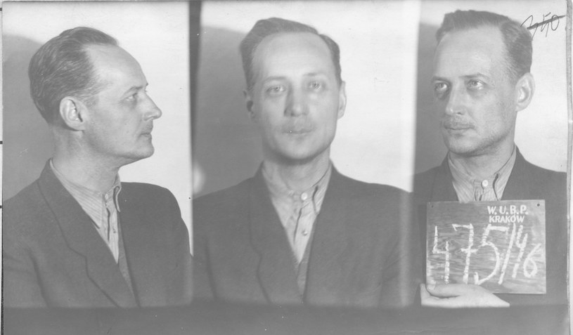 Franciszek Niepokólczycki - fotografia wykonana po aresztowaniu przez UB /IPN