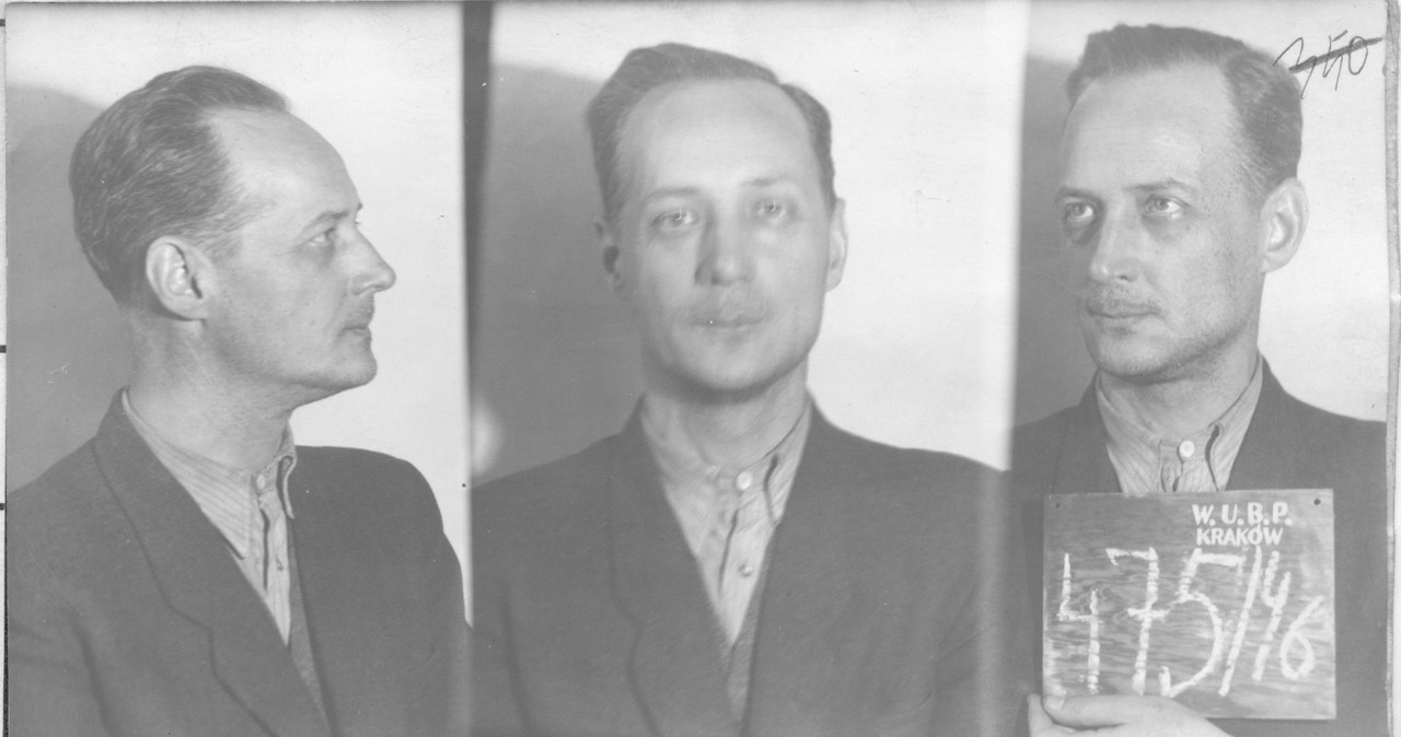 Franciszek Niepokólczycki - fotografia wykonana po aresztowaniu przez UB /IPN