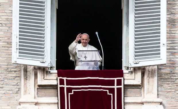 Franciszek skrytykował wybieranie zwierząt domowych zamiast dzieci