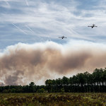 Francja gotowa na pożary lasów