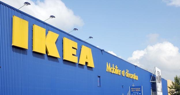 Francja: Ikea nielegalnie szpiegowała klientów i pracowników /AFP