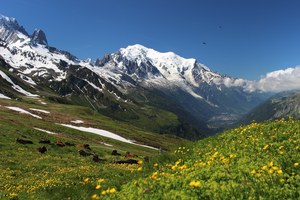 Francja: Kaucja na wypadek śmierci na Mont Blanc. Burmistrz chce wprowadzenia opłaty