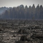 Francja liczy gigantyczne straty po pożarach. Co najmniej pół miliarda euro
