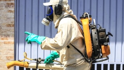 Francja: Pierwszy przypadek zakażenia wirusem Zika drogą płciową