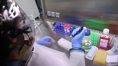 Francja zaostrzyła plan zapobiegania atakowi wirusa Ebola