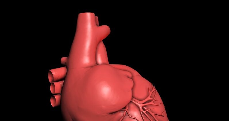 Francuscy kardiochirurdzy po raz pierwszy na świecie wymienili zastawkę aorty metodą endoskopową. /123RF/PICSEL