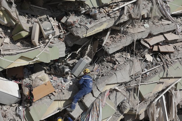 Francuscy ratownicy i ich pies na gruzach budynku w Kahramanmaraş /ABIR SULTAN /PAP/EPA