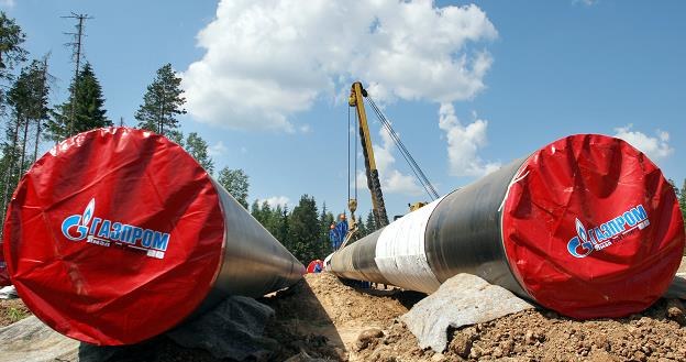 Francuski EDF i niemiecki Winteshal wychodzą z udziałów w South Stream /AFP