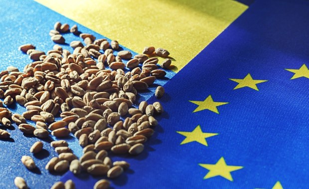 Francuski minister: Jest mniejszość blokująca. Możemy domagać się zmian w umowie z Ukrainą