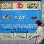 Francuski rząd zapowiada zaostrzenie walki z inwazją pluskiew
