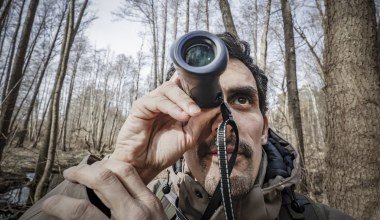 Francuz uratował poznańskie żaby. Wstrzymano budowę drogi