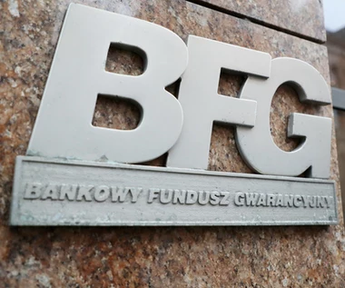 Franki to największe ryzyko sektora - ​prezes BFG