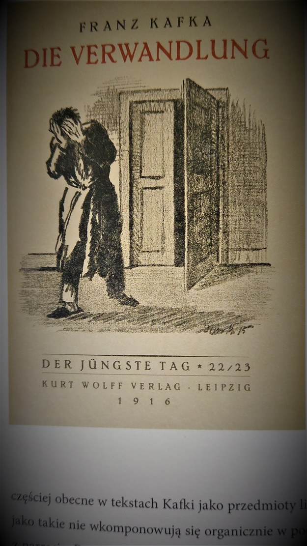 "Franz Kafka. Rysunki" - zamieszczona w książce okładka "Przemiany". /Bogdan Zalewski /RMF24
