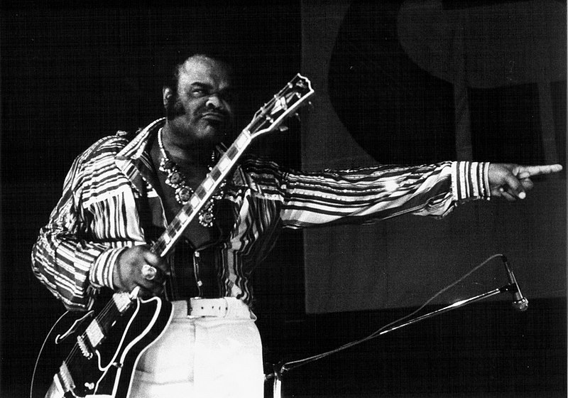 Freddie King w 1975 roku /Wikimedia Commons/ C.C. 4.0. / Lionel Decoster /materiał zewnętrzny