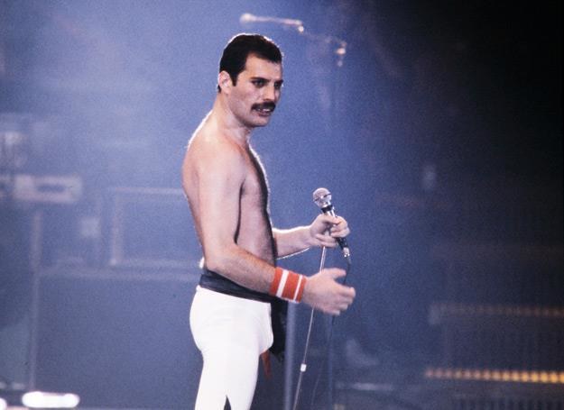 Freddie Mercury zmarł w listopadzie 1991 roku /arch. AFP