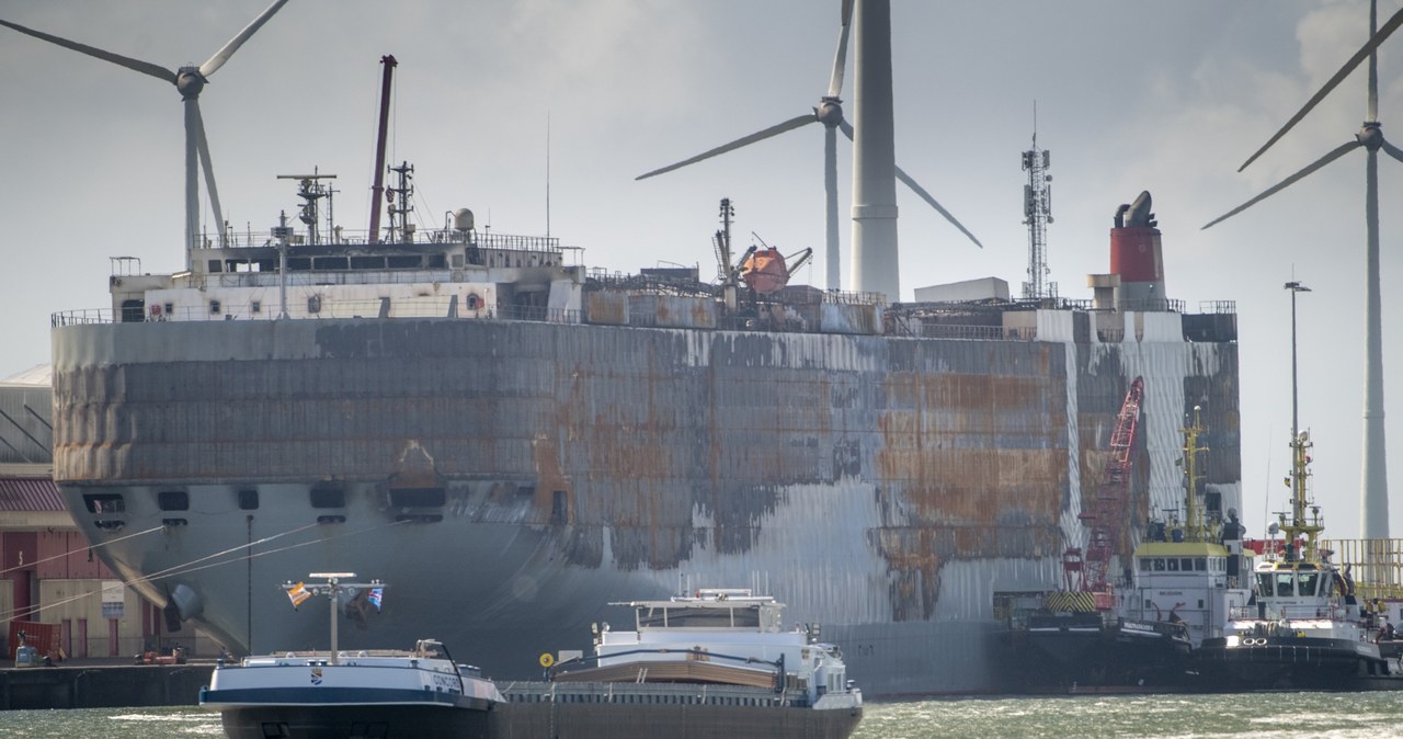 Fremantle Highway stoi w porcie Eemshaven /AFP