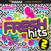 różni wykonawcy: -Fresh Hits vol. 2