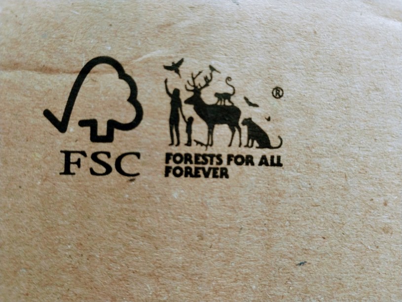 FSC działa w 89 krajach, aby "chronić lasy dla przyszłych pokoleń" /INTERIA.PL