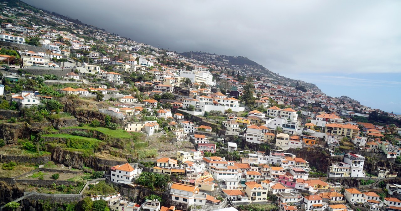 Funchal na Maderze. /123RF/PICSEL