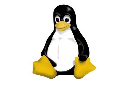 Fundacja Linux kontra Solaris /materiały prasowe