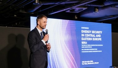 Fundacja Polska z Natury: Europa ma konkurencyjny przemysł w porównaniu z USA i Chinami. Musimy tylko o niego zadbać