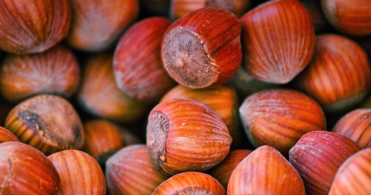 Фундук - корисна альтернатива шкідливим чипсам, снекам та солодощам /pixabay.com