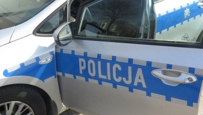 Funkcjonariusze CBŚP zlikwidowali plantację marihuany w hali produkcyjnej w Opolu