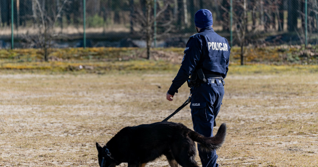 Funkcjonariusze otrzymują ryczałt na opiekę nad psami, które zakończyły służbę. Zdj. ilustracyjne /News Lubuski /East News