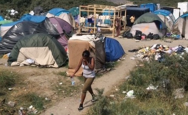 Funkcjonariusze żądają godziny policyjnej w obozowisku w Calais