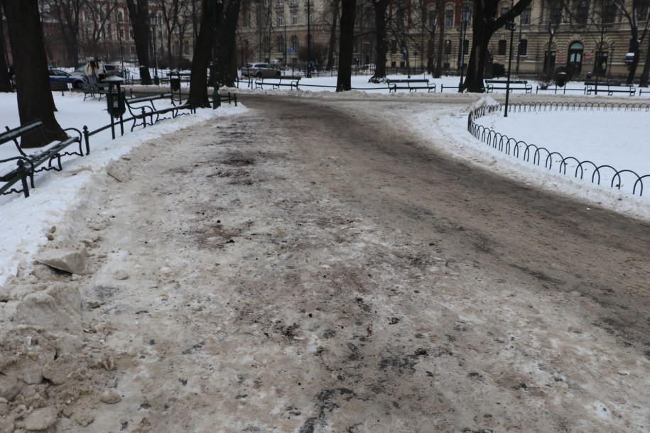 Fusy z kawy są wykorzystywane na krakowskich ulicach /Józef Polewka /RMF FM