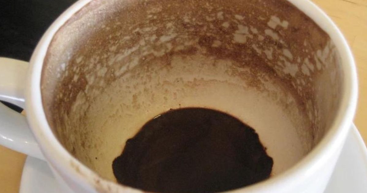 Fusy z kawy świetnie odżywią bratki /123RF/PICSEL