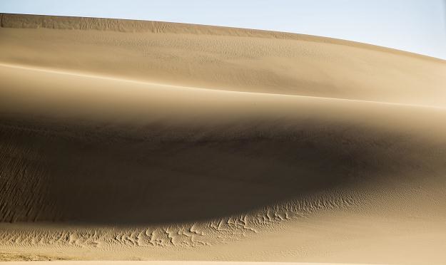 Gąbka jak żuk uratuje spragnionych na pustyni /&copy;123RF/PICSEL