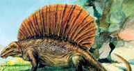Gad kopalny, Dimetrodon incisivus /Encyklopedia Internautica