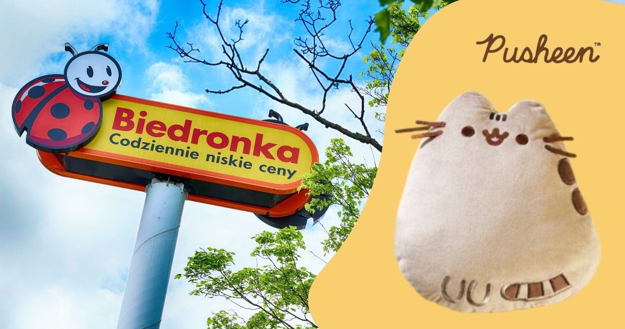 Gadżety Pusheen w Biedronce! /adobestock/Biedronka /INTERIA.PL