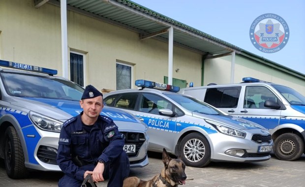 Gaja odnalazła zaginionego nastolatka z Ukrainy