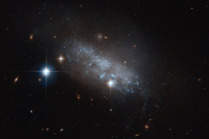 Galaktyka IC 3583 /NASA