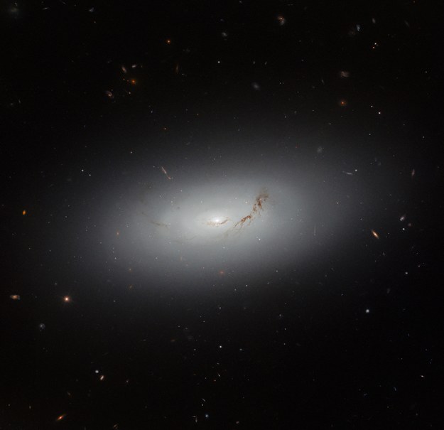 Galaktyka NGC 3156 na zdjęciu Teleskopu Hubble’a. /ESA/Hubble & NASA, R. Sharples, S. Kaviraj, W. Keel /