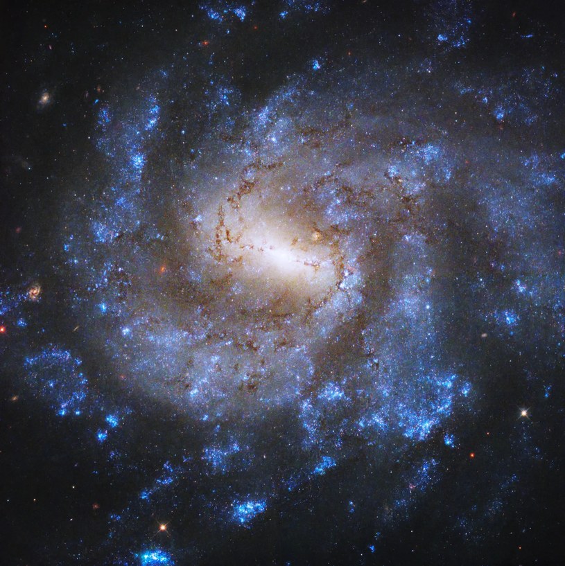 Galaktyka NGC 685 na zdjęciu z Kosmicznego Teleskopu Hubble'a /Image credit: NASA, ESA, and J. Lee (Space Telescope Science Institute); Processing: Gladys Kober (NASA/Catholic University of America) /materiał zewnętrzny