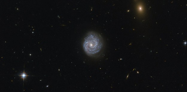 Galaktyka RX J1140.1+0307 /ESA/Hubble & NASA, Judy Schmidt /materiały prasowe