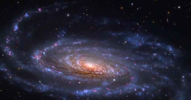 Galaktyka spiralna NGC 5033 /NASA
