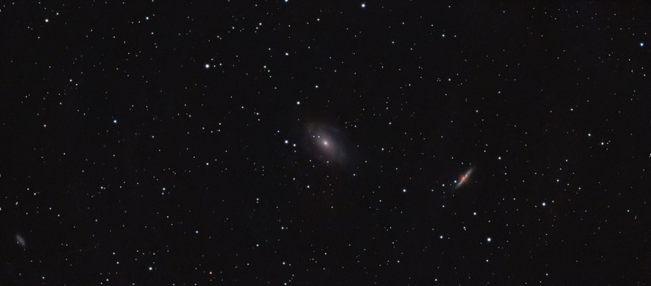 Galaktykę Cygaro można sfotografować nawet z pomoca niewielkiego teleskopu. W centrum Galaktyka Bodego (M81) /Fot. Grzegorz Jasiński /RMF FM
