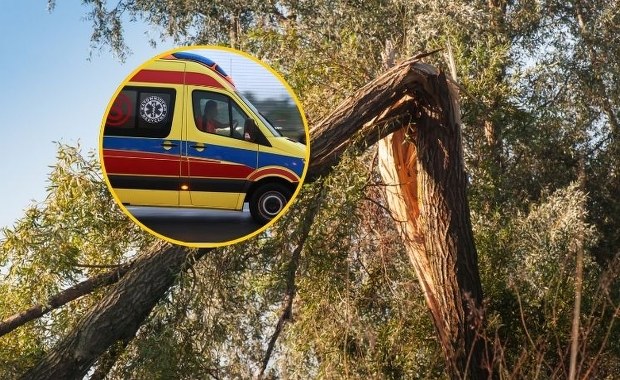 Gałąź spadła na dwie dziewczynki w Noc Kupały