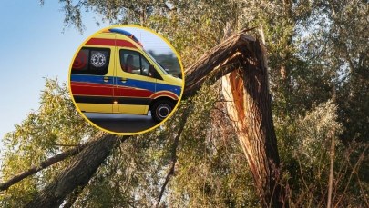 Gałąź spadła na dwie dziewczynki w Noc Kupały