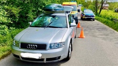 Gałąź spadła na samochód i wbiła się w szybę. Ranna 4-latka [ZDJĘCIA]