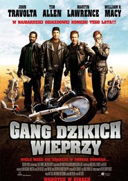 Gang dzikich wieprzy